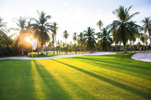 The Ultimate Guide to Destin Florida Beaches would be incomplete without mentioning golfing in paradise. Sunshine and palm trees enhance the greens.